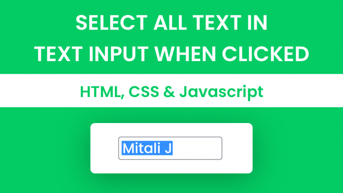 Select All Text In Text Input When Clicked Javascript