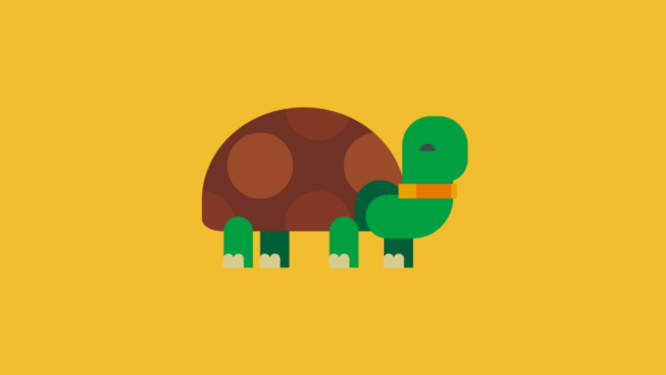 Tortoise Coding Bot Tortoise CSS Art | Coding Artist