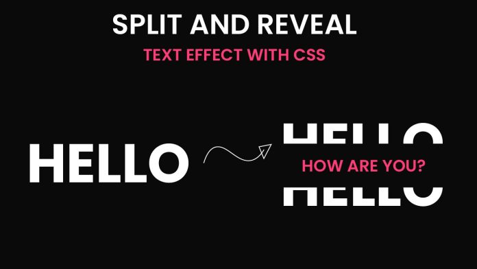 Split And Reveal Text